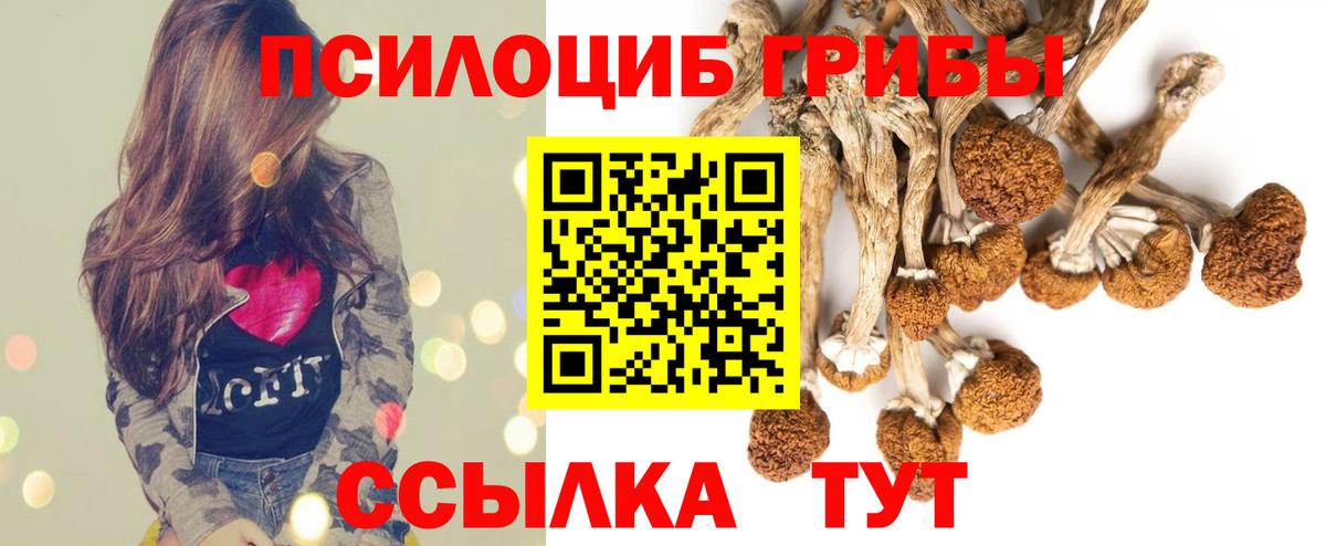 COCAIN  Гашиш  Экстази  Где купить  Котовск  Вход с VPN  Героин  ГАШ  МДМА  Мефедрон   Конопля  МЕФ  Амфетамин  